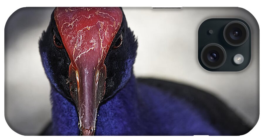 Animals iPhone Case featuring the photograph Purple Swamphen portrait by Mr Bennett Kent
