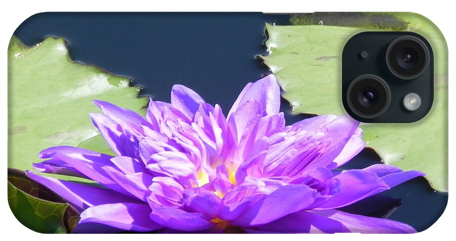 Photograph iPhone Case featuring the photograph Purple Waterlilie Flower by Chrisann Ellis
