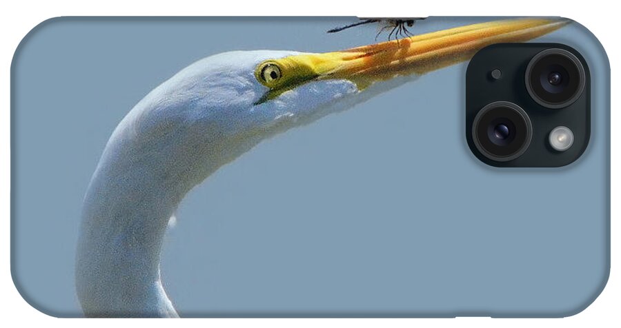 Egret iPhone Case featuring the photograph Pushing The Limits by Charlotte Schafer