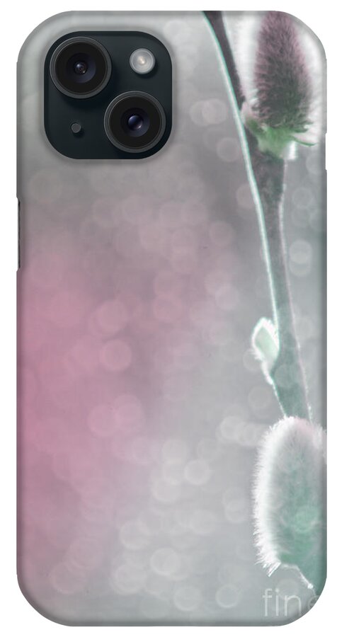 Pussy Willow iPhone Case featuring the photograph Pussy Willow Bokeh by Jim And Emily Bush