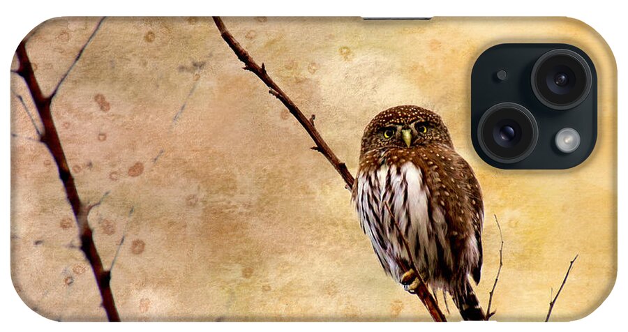 Owls iPhone Case featuring the photograph Pygmy Owl - The Watcher by Peggy Collins