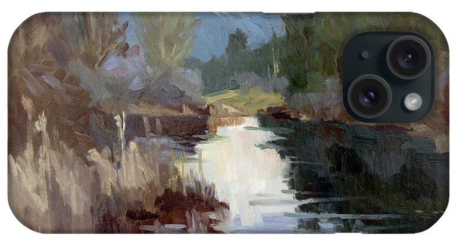 Quiet Reflections iPhone Case featuring the painting Quiet Reflections at Harry's Pond by Diane McClary