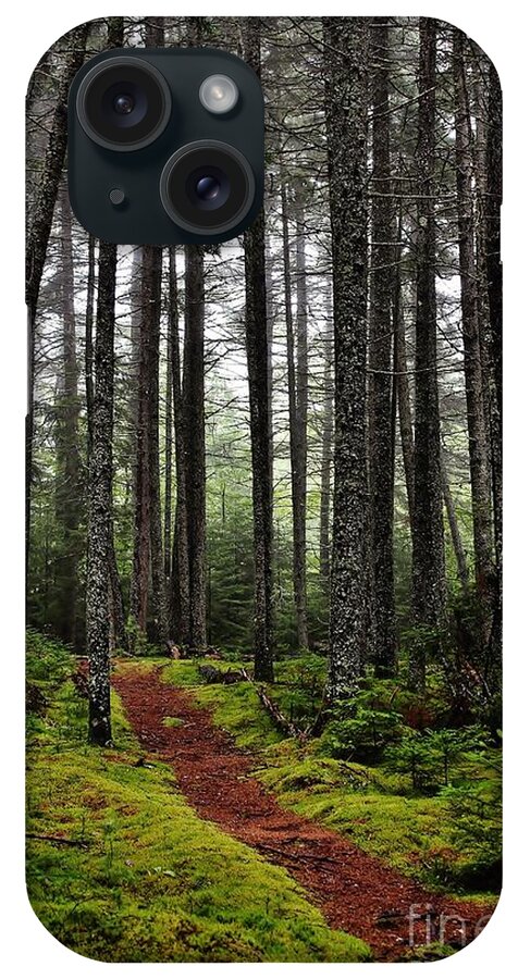 Woods iPhone Case featuring the photograph Quiet Woods by Karin Pinkham