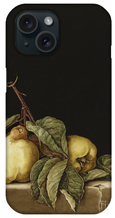 Still Life iPhone Case featuring the painting Quinces by Jenny Barron