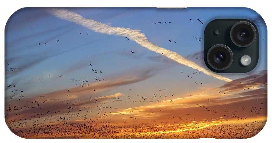 Kansas iPhone Case featuring the photograph Quivira Sunset 2 by Rob Graham