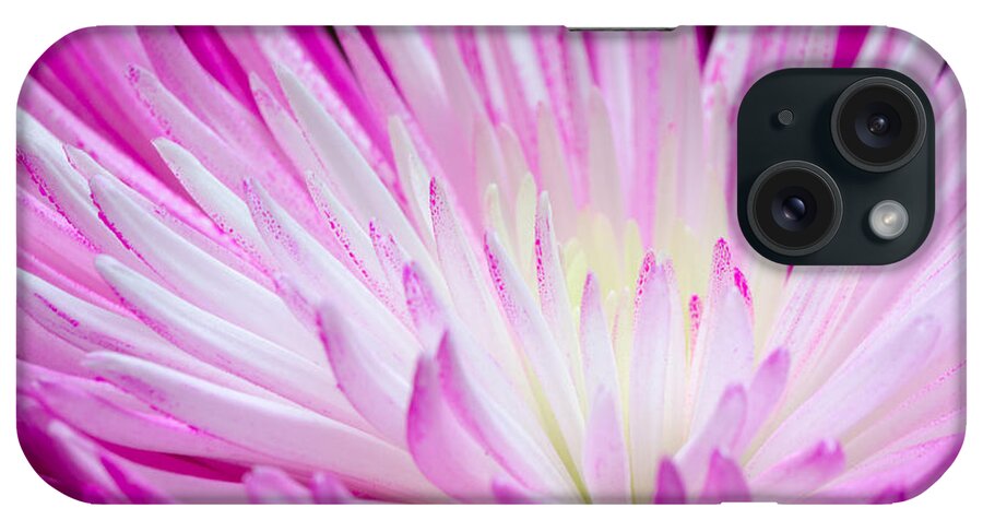 Close-up iPhone Case featuring the photograph Radiant Bloom by Georgette Grossman