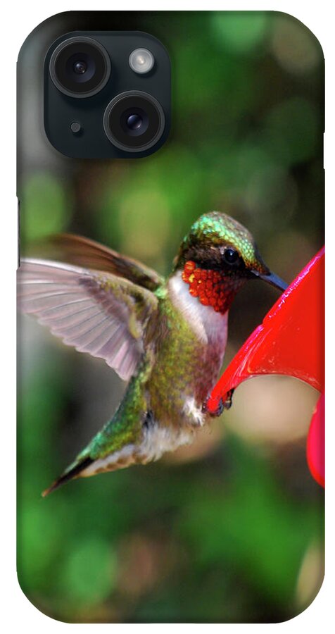 Hummingbird iPhone Case featuring the photograph Radiant Ruby by Lori Tambakis