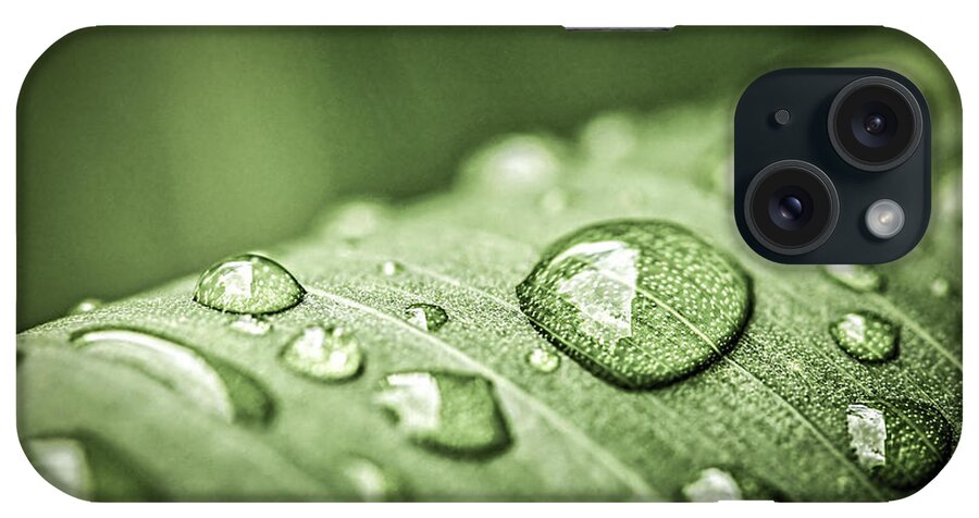 Plant iPhone Case featuring the photograph Rain drops on green leaf by Elena Elisseeva