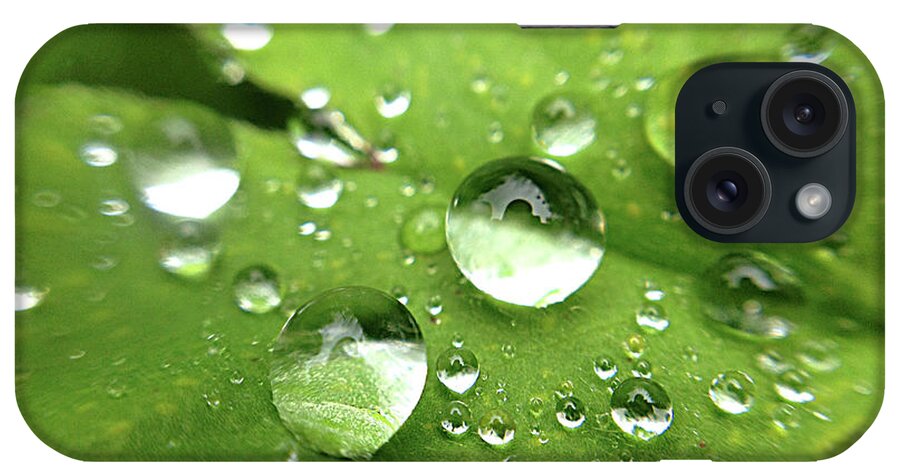 England iPhone Case featuring the photograph Rain On Leaf by Kelly Loughlin Photography