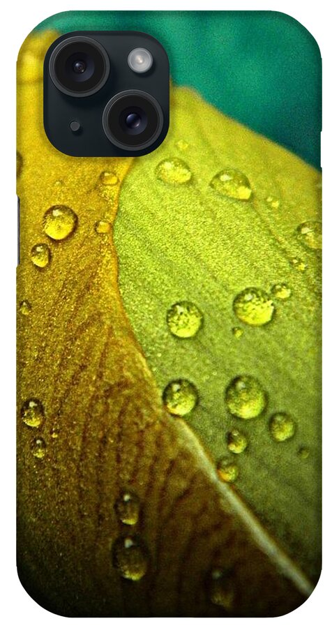 Nature iPhone Case featuring the photograph Rain Wrapped by Chris Berry