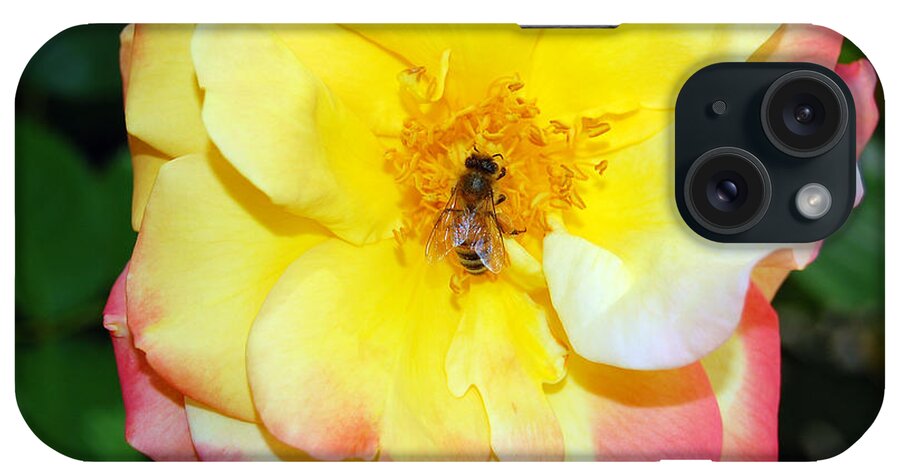 Bee iPhone Case featuring the photograph Rainbow Wings by Debra Thompson