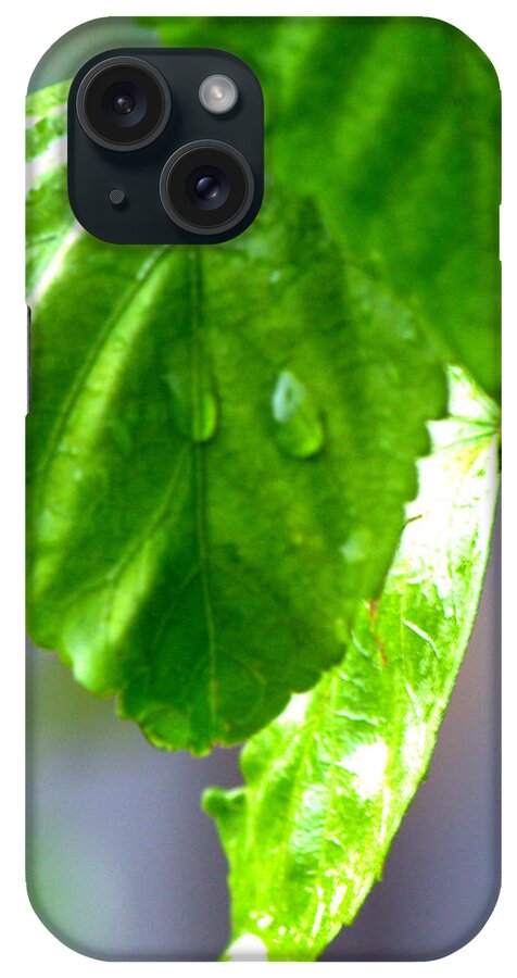 Rain iPhone Case featuring the photograph Raindrop On Roses by Cathy Shiflett