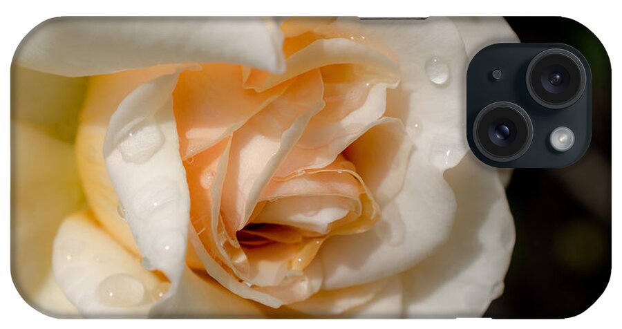 Rain iPhone Case featuring the photograph Raindrops on Roses by Jordan Blackstone