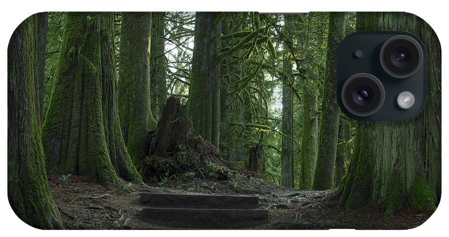 Rainforest Trail iPhone Case featuring the photograph Rainforest Trail by Sharon Talson