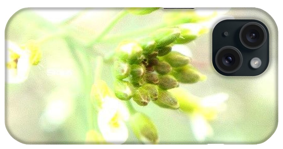  iPhone Case featuring the photograph Random Macro Shot Taken With A Macro by S Kazi