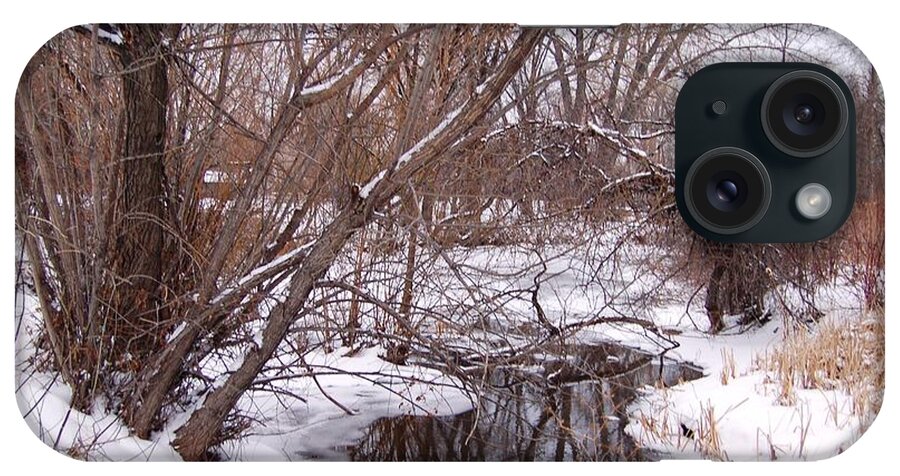 Dakota iPhone Case featuring the photograph Rapid Creek in Snow by Greni Graph