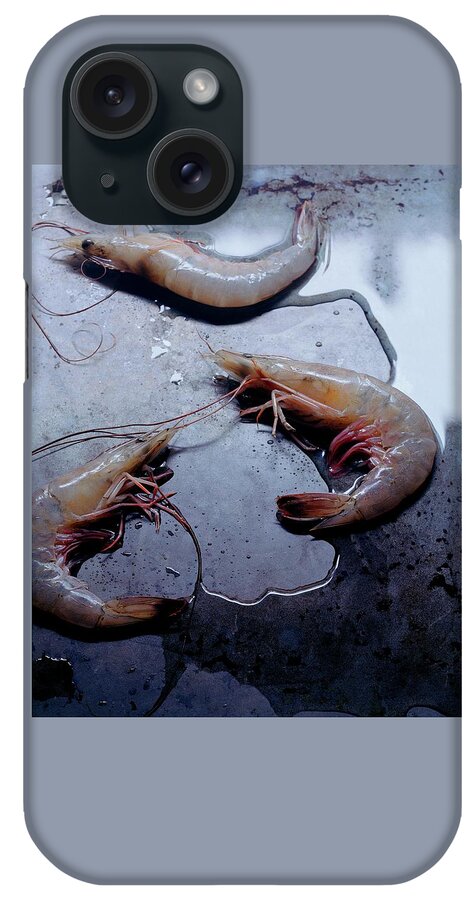Raw Shrimp iPhone Case