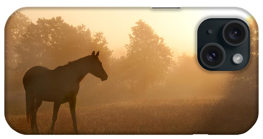 Arabian iPhone Case featuring the photograph Rays of Sunrise by Sari ONeal