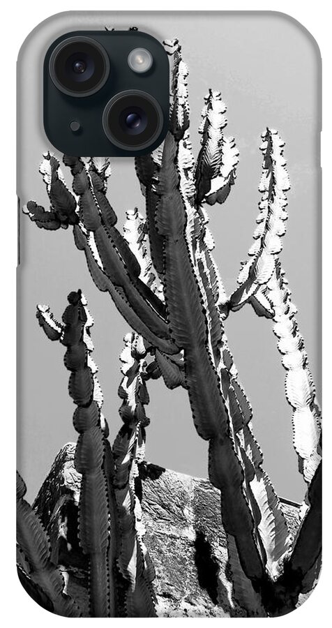 Ca iPhone Case featuring the photograph THE REACH Desert Hot Springs CA by William Dey