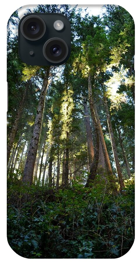 Old Growth iPhone Case featuring the photograph Reach for the Sky by Laureen Murtha Menzl