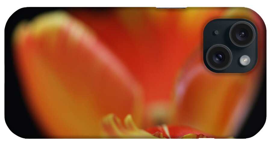 Tulip iPhone Case featuring the photograph Reaching Out by Juergen Roth