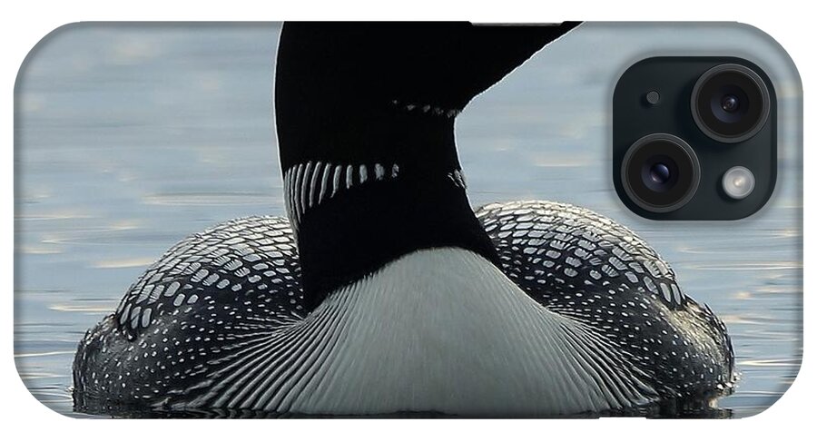 Loon iPhone Case featuring the photograph Ready for my Close-up by Steven Clipperton