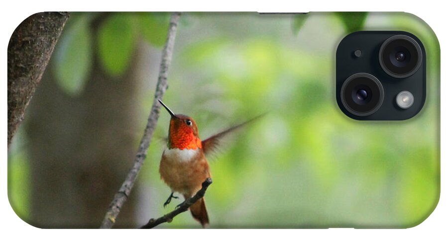 Hummingbird iPhone Case featuring the photograph Ready for Take-Off by Leone Lund