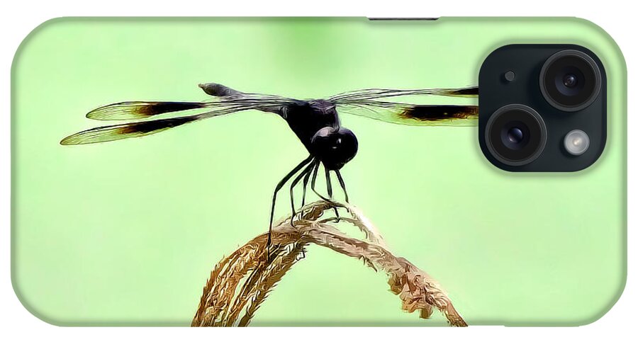 Dragonfly Photograph iPhone Case featuring the photograph Ready for TakeOff by Lucy VanSwearingen