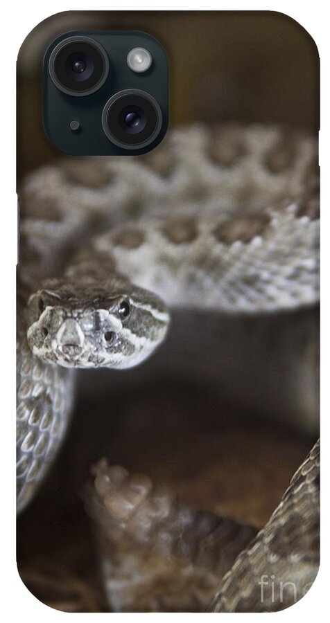 Rattler iPhone Case featuring the photograph A Rattlesnake Thats Ready to Strike by Steve Triplett