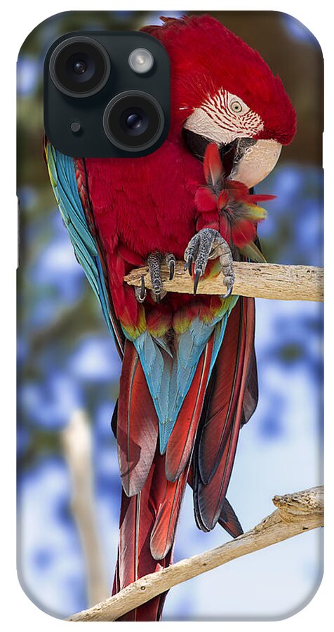 Bird iPhone Case featuring the photograph Red and Green Macaw by Bill and Linda Tiepelman