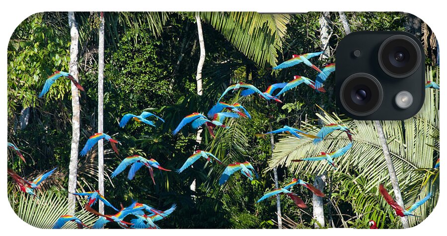 Red-and-green Macaws iPhone Case featuring the photograph Red-and-green Macaws In Flight by William H. Mullins