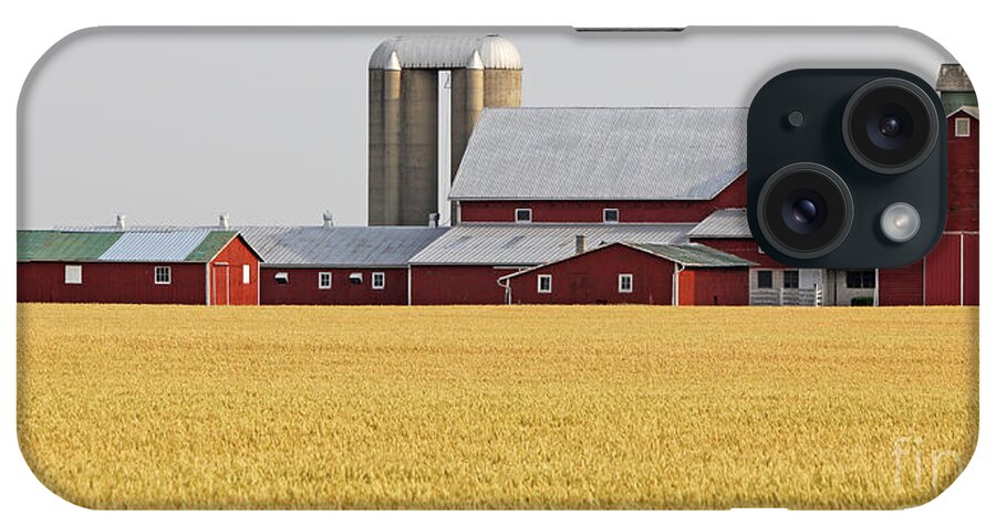 Red Barn iPhone Case featuring the photograph Red Barn and Wheatfield 8419 by Jack Schultz