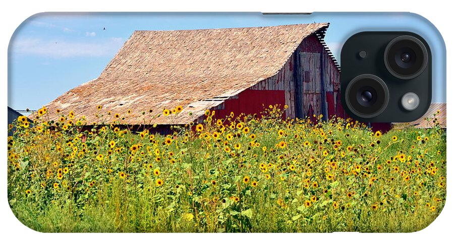 Red Barn In Summer iPhone Case featuring the photograph Red Barn In Summer by Clarice Lakota
