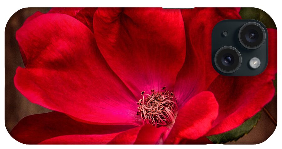 Art Prints iPhone Case featuring the photograph Red Beauty by Dave Bosse
