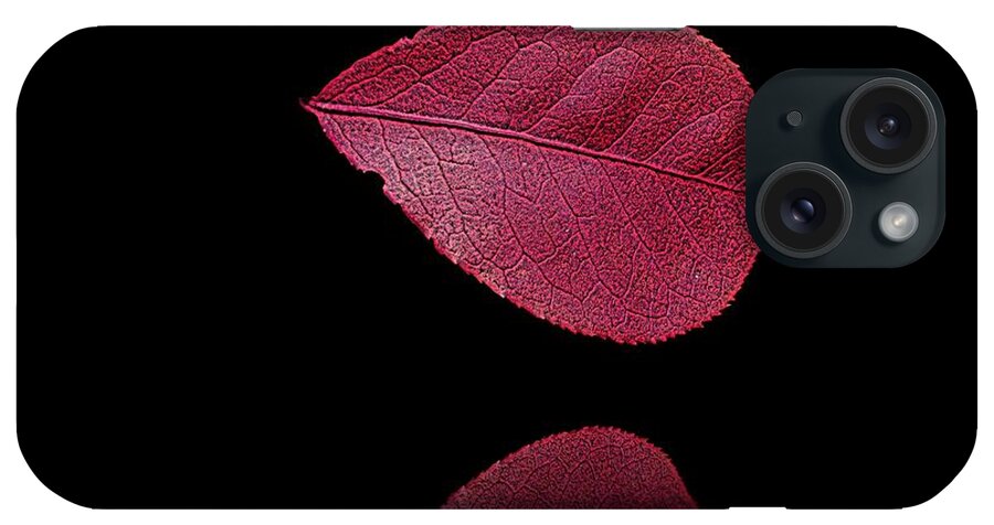 Leaf iPhone Case featuring the photograph Red Beauty by David Dehner