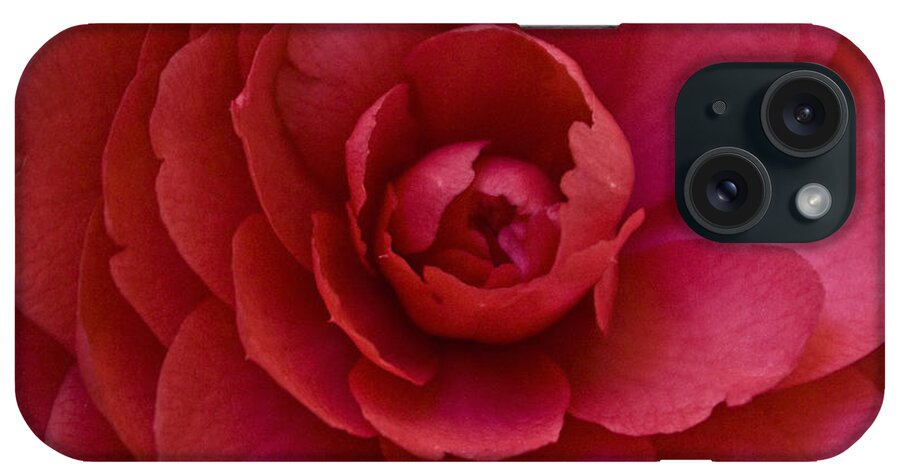 Red iPhone Case featuring the photograph Red Camellia by Cindy Garber Iverson