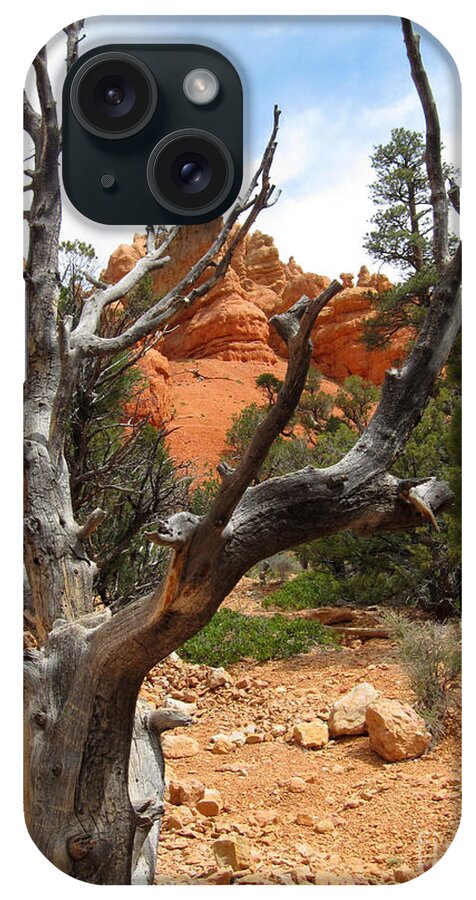 Red Canyon iPhone Case featuring the photograph Red Canyon Tree And Rocks by Debra Thompson