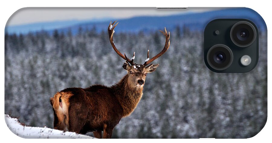 Stag In Snow iPhone Case featuring the photograph Red Deer Stag by Gavin Macrae