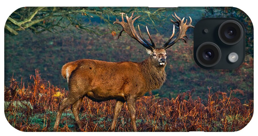 Red Deer iPhone Case featuring the photograph Red Deer Stag in Woodland by Scott Carruthers