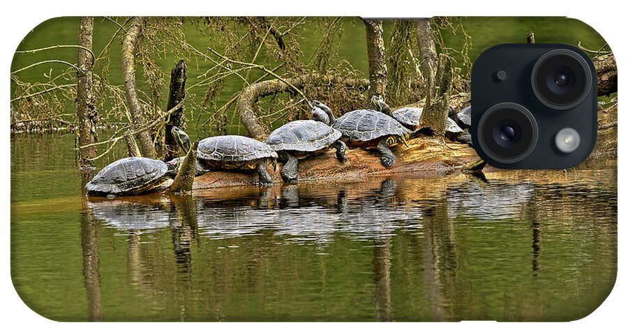 Red-eared Slider Turtles iPhone Case featuring the photograph Red Eared Slider Turtles 2 by Sharon Talson