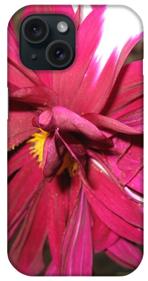 Red Flower iPhone Case featuring the photograph Red Flower in Bloom by HEVi FineArt