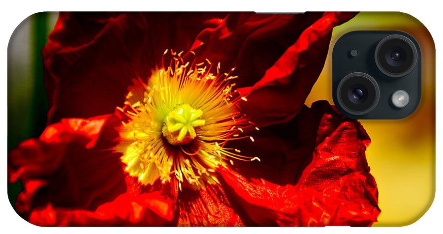 Chanticleer Gardens iPhone Case featuring the photograph Red Flower by Louis Dallara