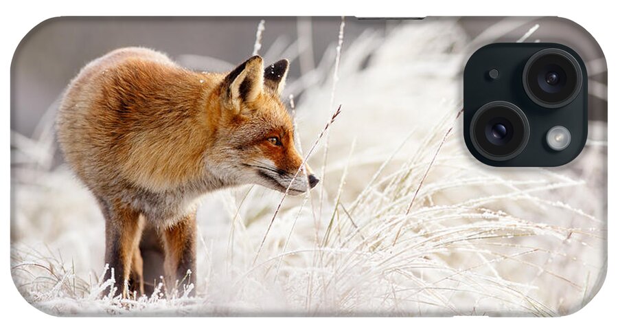 Fox iPhone Case featuring the photograph Red Fox and Hoar Frost _ The Catcher in the Rime by Roeselien Raimond