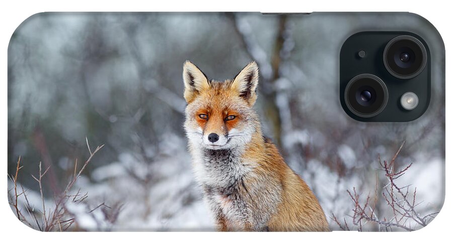 Fox iPhone Case featuring the photograph Red Fox Blue World by Roeselien Raimond