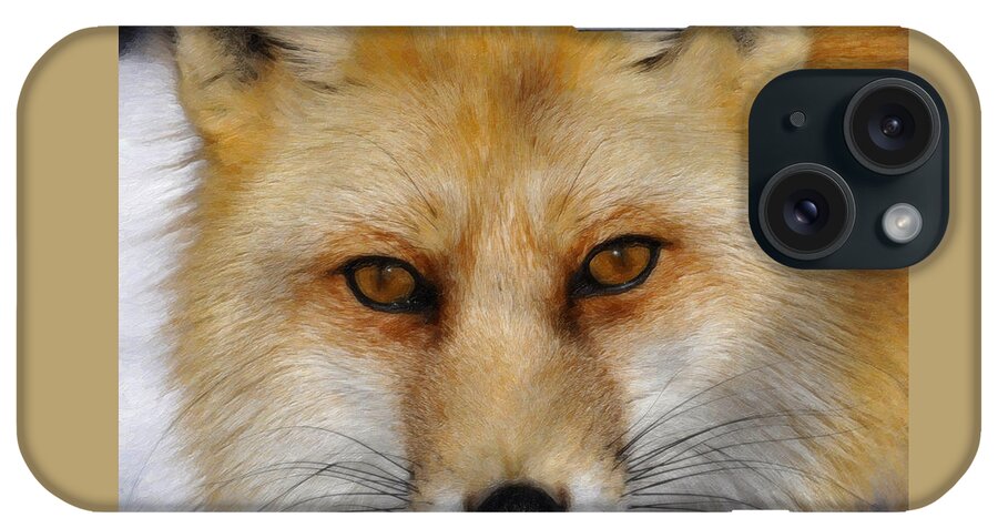 Red Fox iPhone Case featuring the painting Red Fox by Dean Wittle