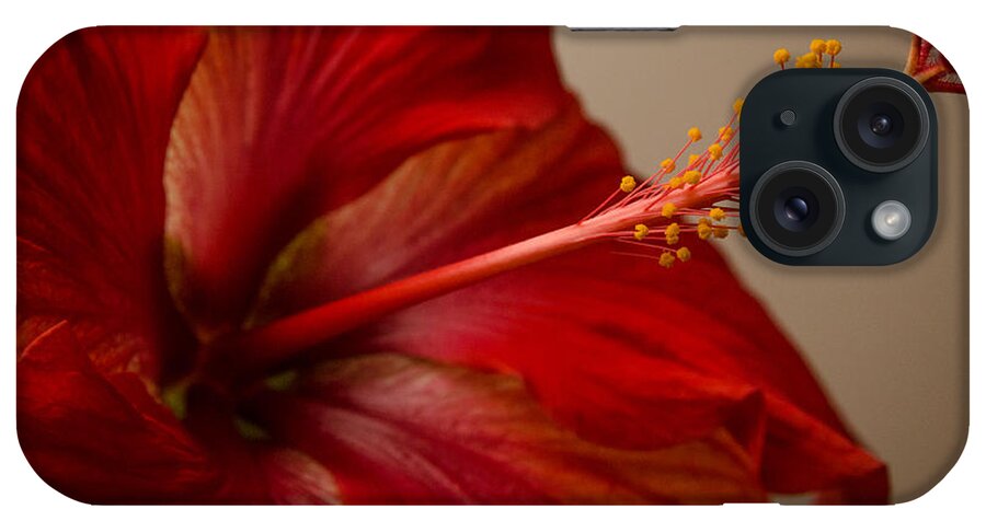 Fjm Multimedia iPhone Case featuring the photograph Red Hibiscus 5 by Frank Mari