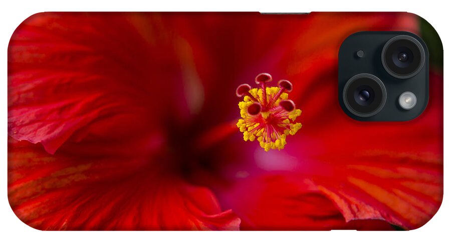 Red iPhone Case featuring the photograph Red Hibiscus by Eduard Moldoveanu