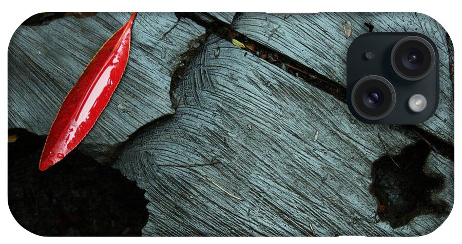 Fall Colors iPhone Case featuring the photograph Red Leaf on Cut Wood by Jennifer Bright Burr