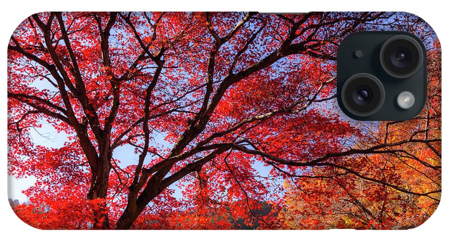Tranquility iPhone Case featuring the photograph Red Maple Tree In A Temple by Ma Photo