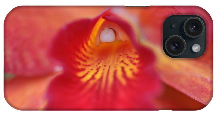 Red iPhone Case featuring the photograph Red orchid by Sue Morris